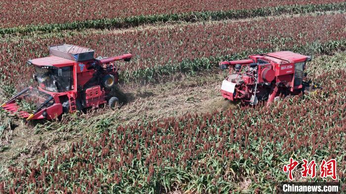 星欧平台官方：“中原粮仓”河南秋收逾九成 冬小麦播种将启