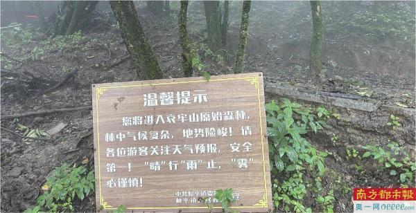 星欧平台注册:哀牢山是“中国的百慕大”?迷雾来临向导也不敢轻易开车